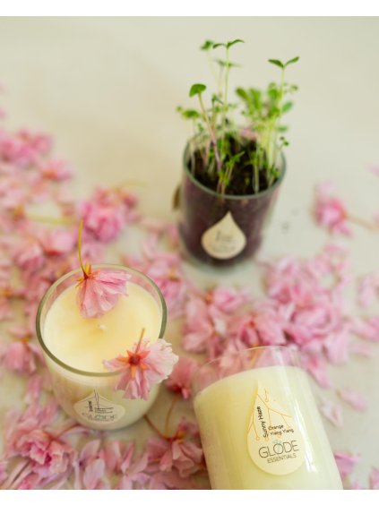 Sojová svíčka v upcyklovaném skle v růžových květech.