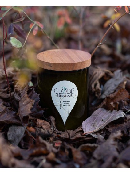 Sojová svíčka ve vinném skle - Podzim