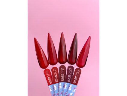 Kiss collection 259 263(1)