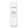 Goldwell Rich Repair Šampon, 250 ml