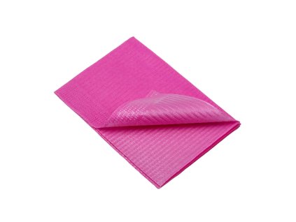 09027 P image ampri de 10 copy