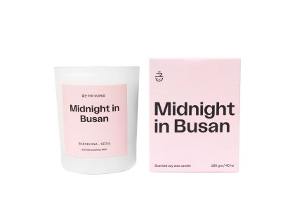 candle midnight in busan