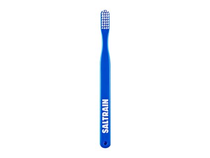saltrain toothbrush