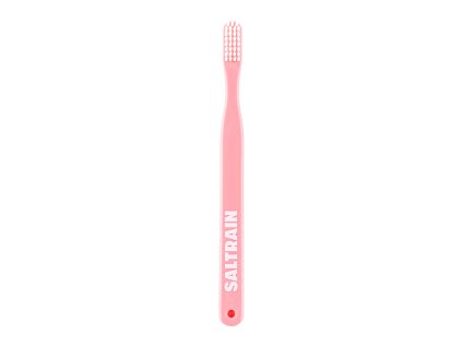 saltrain toothbrush
