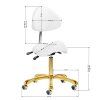 Cosmetic stool Giovanni 1004 white with gold base