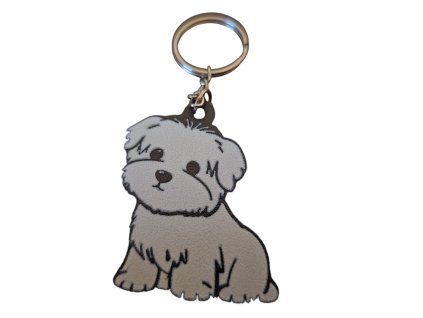 Photoroom 20250222 102606