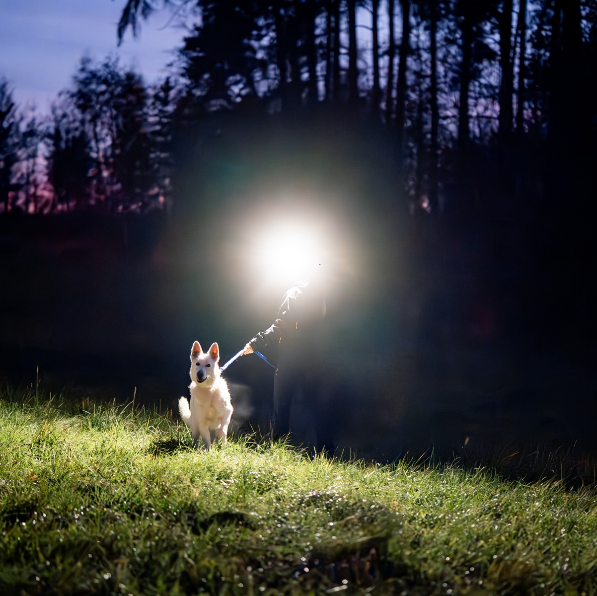 GlowFox Headmax ovládanie mávnutím ruky