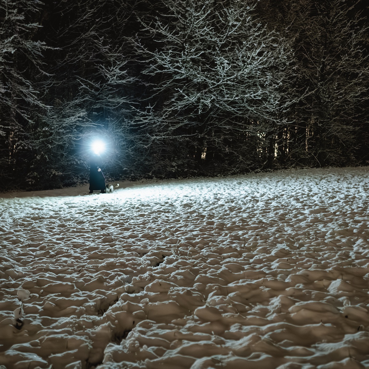 Zima a náročné podmínky