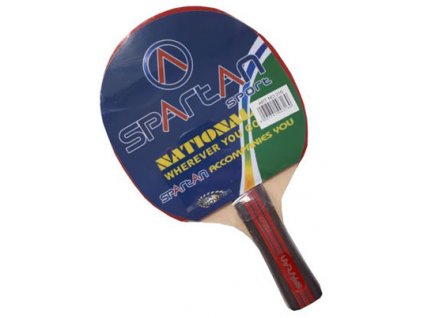PÁLKA NA STOLNÍ TENIS TENIS
