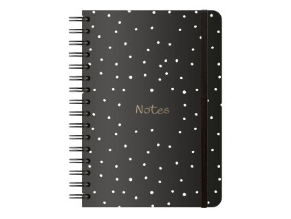 N24 LAD 085 Dotty 01