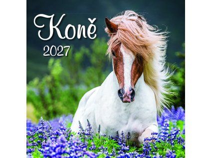 Kone OB CZ 330x330 2027