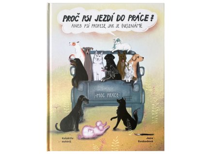 Proč psi jezdí do práce?