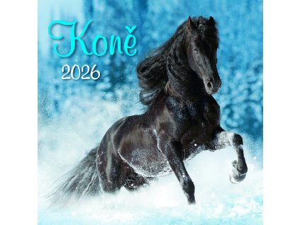 GN26 020 Kone 1