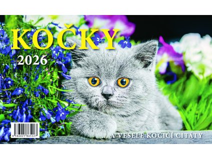 GS26 029 Kocky 1
