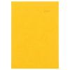 Diář Viva 2027 žlutý Denní A5