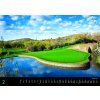 Golf VN 485x340 20272