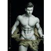 Men VN 340x485 20277