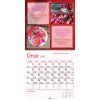 Motivacny VN CZ 330x600 20272