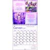 Motivacny VN CZ 330x600 20276