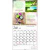 Motivacny VN CZ 330x600 20279