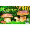 GS26 026 Houbarsky 1