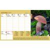 Hubarsky kalendar VN CZ 230x140 2027