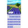 Lunarny kalendar VN CZ 300x600 V1 20276