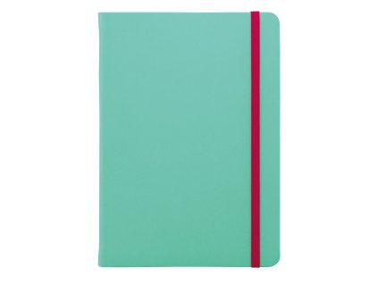G-Notes notebook no. 3 mint, dotted paper, 224 pages