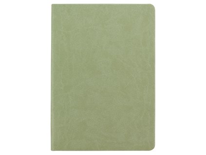 N A5T 132 GNotes no4 Olive