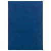 M27 TA5 939 Viva blue