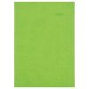 M27 TA5 946 Viva green