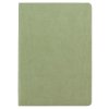 N A5T 132 GNotes no4 Olive