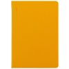 26 DA5 004 Apple yellow
