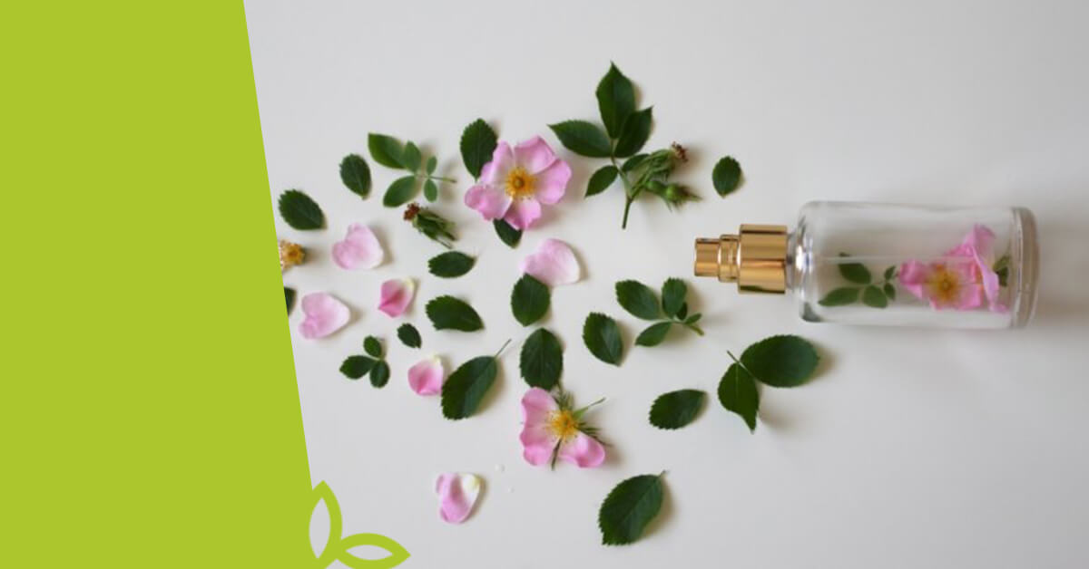 BIO kosmetika a její vliv