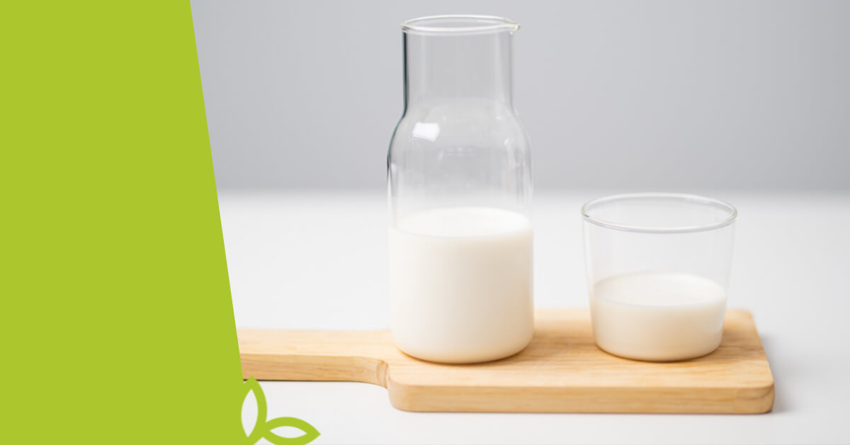 V čem je bio mléko lepší?