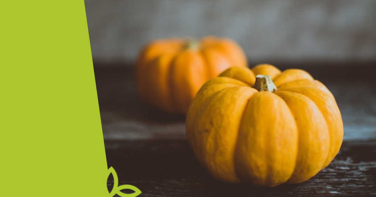 Voňavý dýňový krém