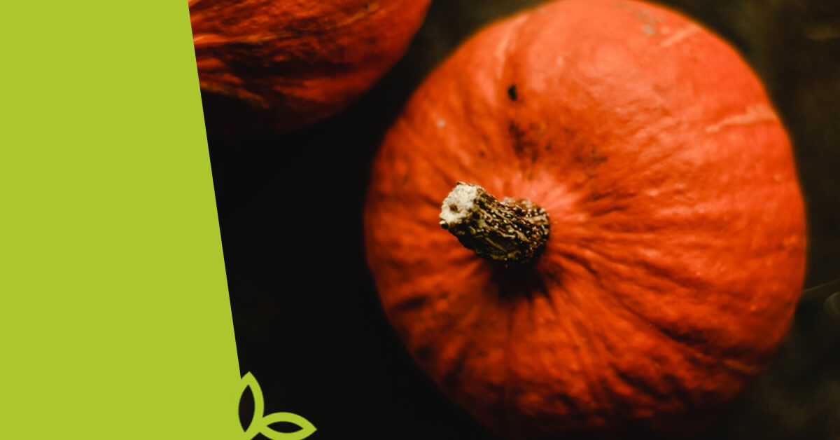 Lahodné dýňové máslo a bez laktózy