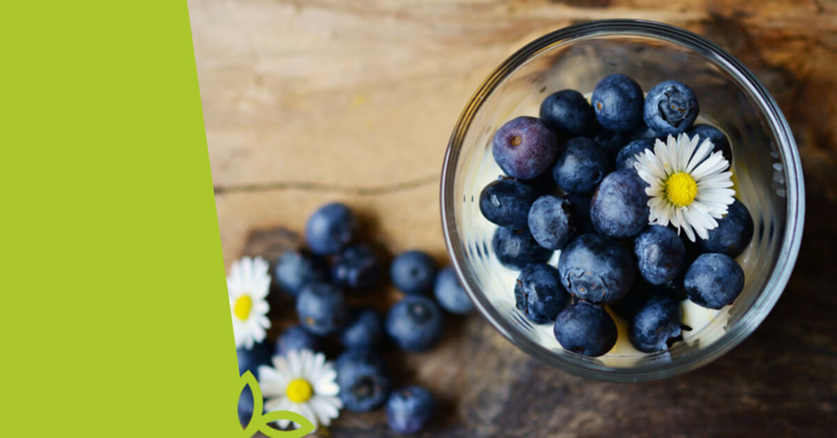 Jak funguje imunitní systém?