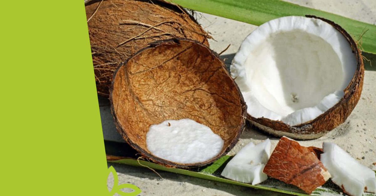 Co se skrývá v kokosu?