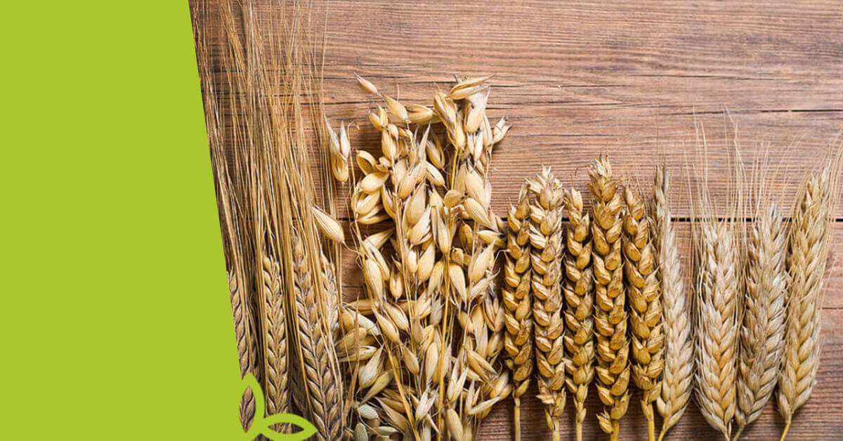 Bezlepková dieta: Jak je to s lepkem doopravdy?