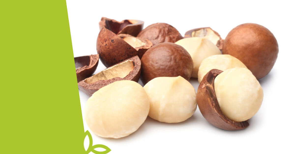 Makadamové ořechy a jejich přínosy pro zdraví