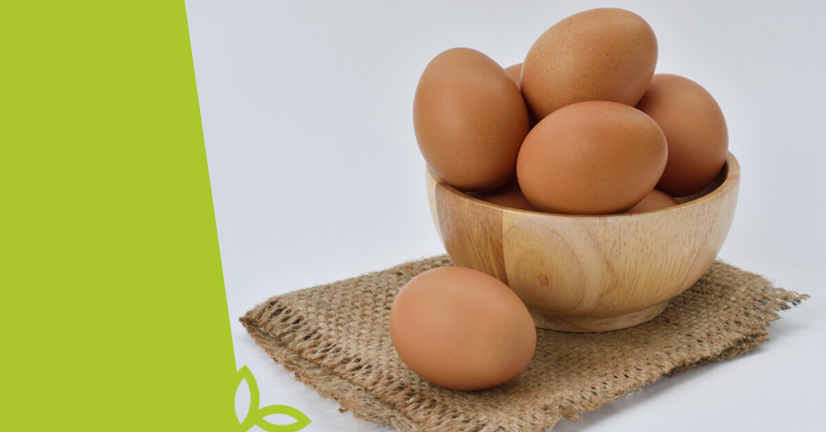 6 dobrých důvodů, proč kupovat BIO vejce