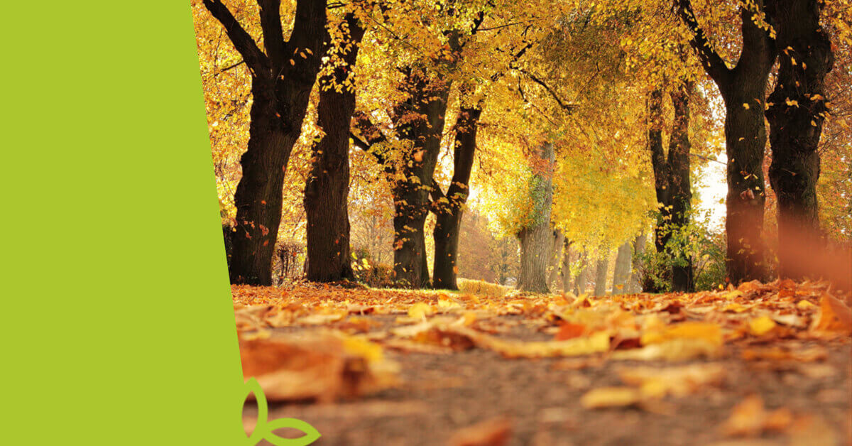 Desatero pro dobrou výživu dětí