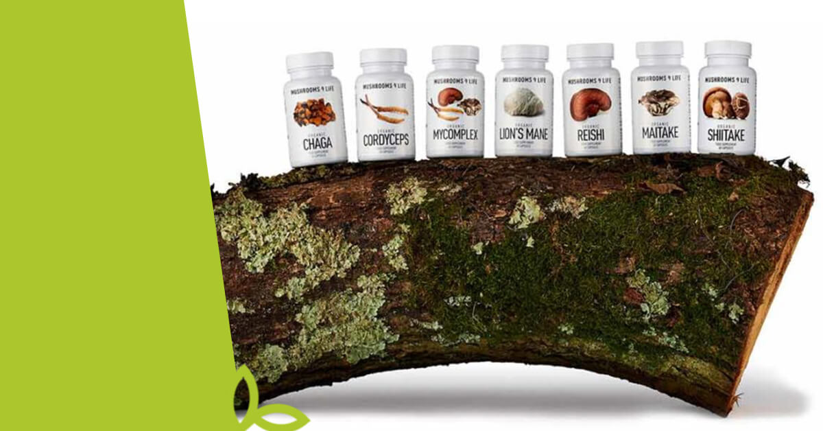 Proč užívat vitální houby