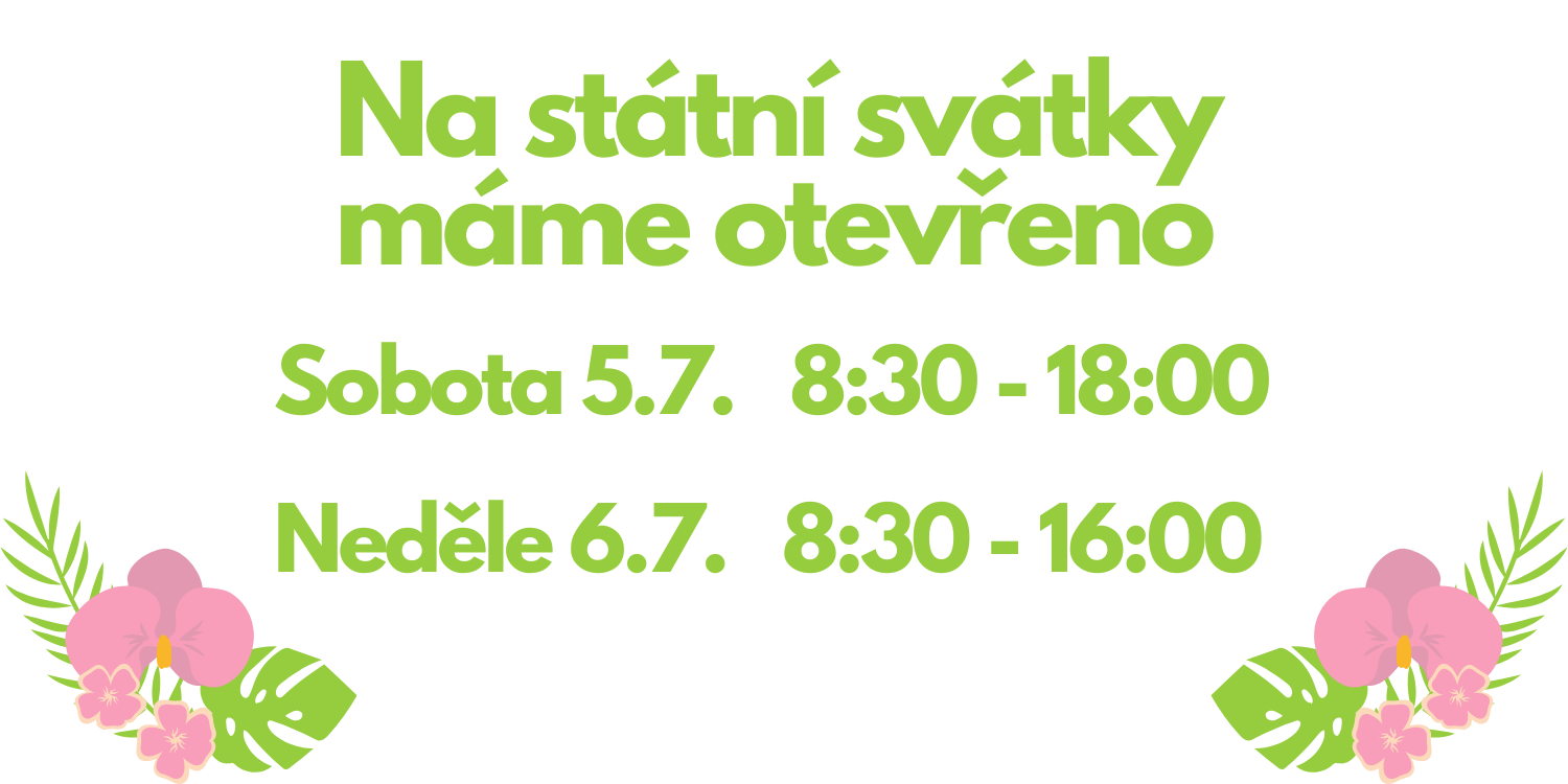 Státní svátky