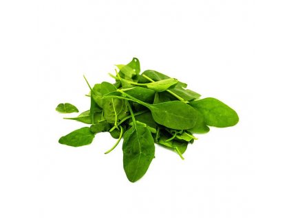23919 bio baby spenat baleni 100 g