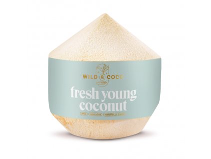 mlady kokosovy orech nam hom w1200 h1200 f0 d64b8d5caa6f85db7a7e495f67223c3f