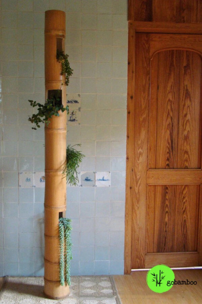 Bamboo fence inspiration