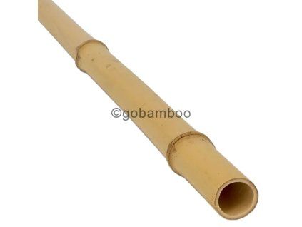 Bambusstange moso 3 4 cm