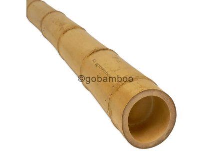 Bambusstange moso o 7 8 cm